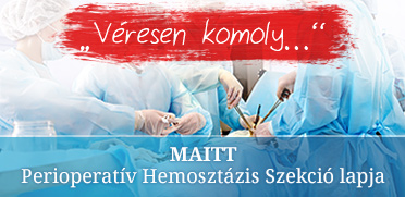 MAITT 2015 Vresen komoly
